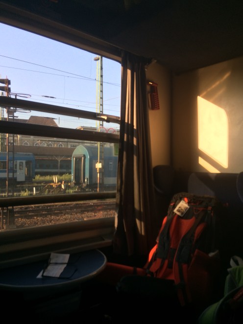 337F1DE2-DA10-458E-9B9B-D2C783D29E7A