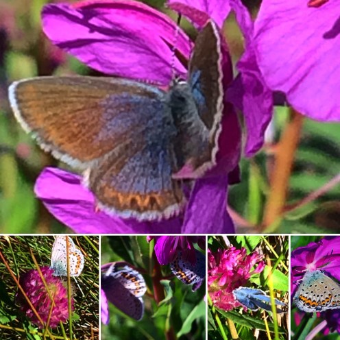 3FD0A266-34C6-4B24-92C9-D6294C5DE1FC