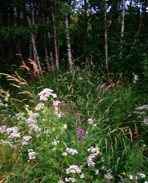 551C94FC-F37F-4935-B650-4B6533AAF083