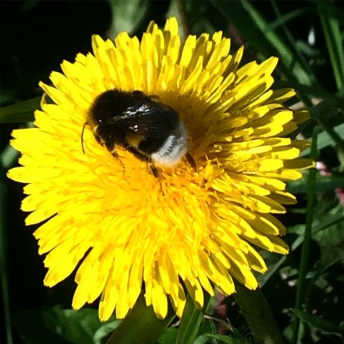 A80C9EBB-EDC8-42AE-9ECF-57D26CB0A22F