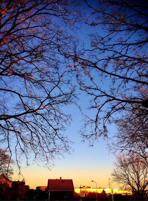 1179D8AE-6445-4956-8C4F-B366D7A8C0AA