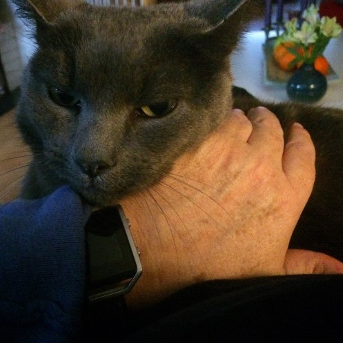 404C0AA2-FB17-47C4-9651-5D57BEB96DD2