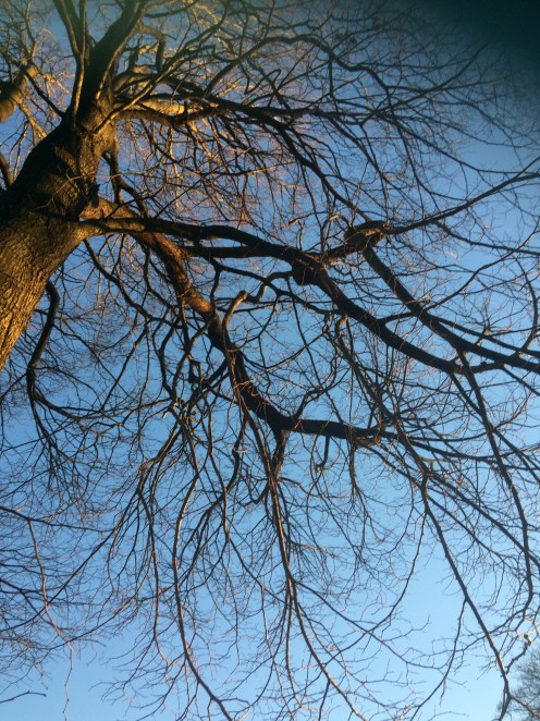 441EF896-7247-4BC2-A42D-90C0CB5CE868