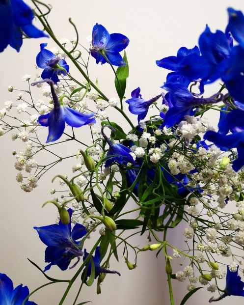 IMG_20190427_192237_604