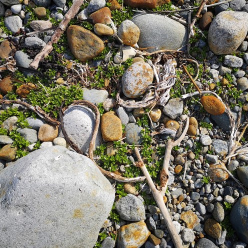 IMG_20190429_194355_279