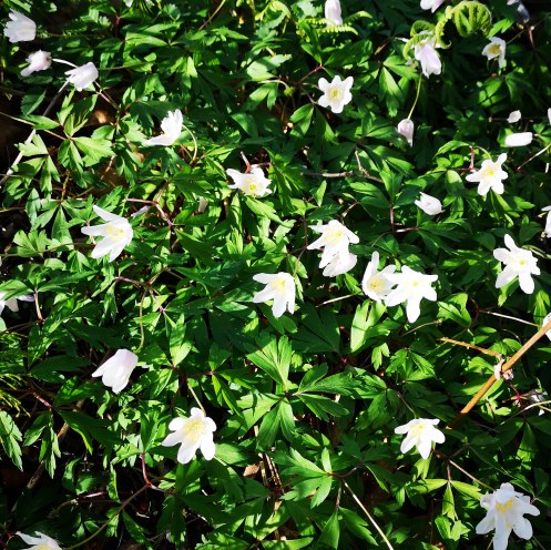 IMG_20190504_201238_570