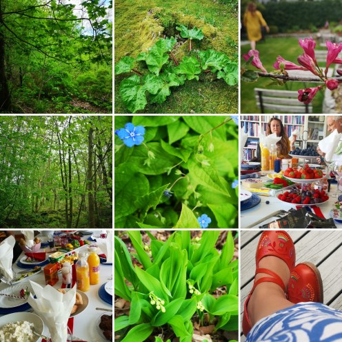 IMG_20190517_175602_430