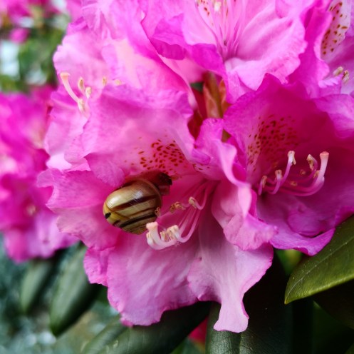 IMG_20190518_223117_393