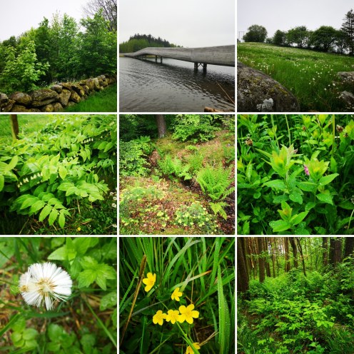 IMG_20190522_195354_639